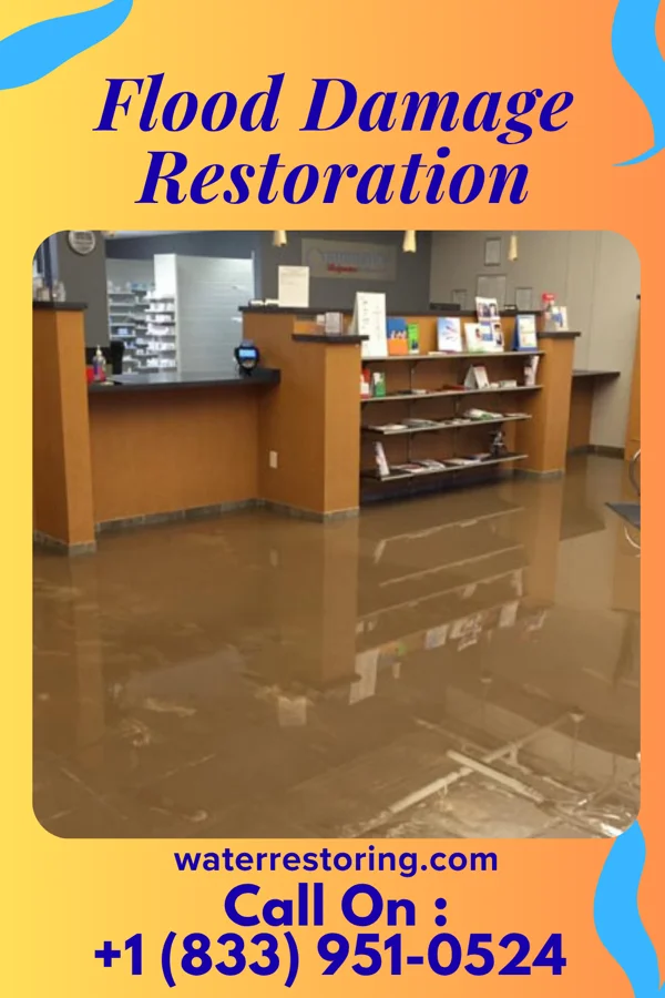 Flood Damage Restoration in Cannon Falls, MN