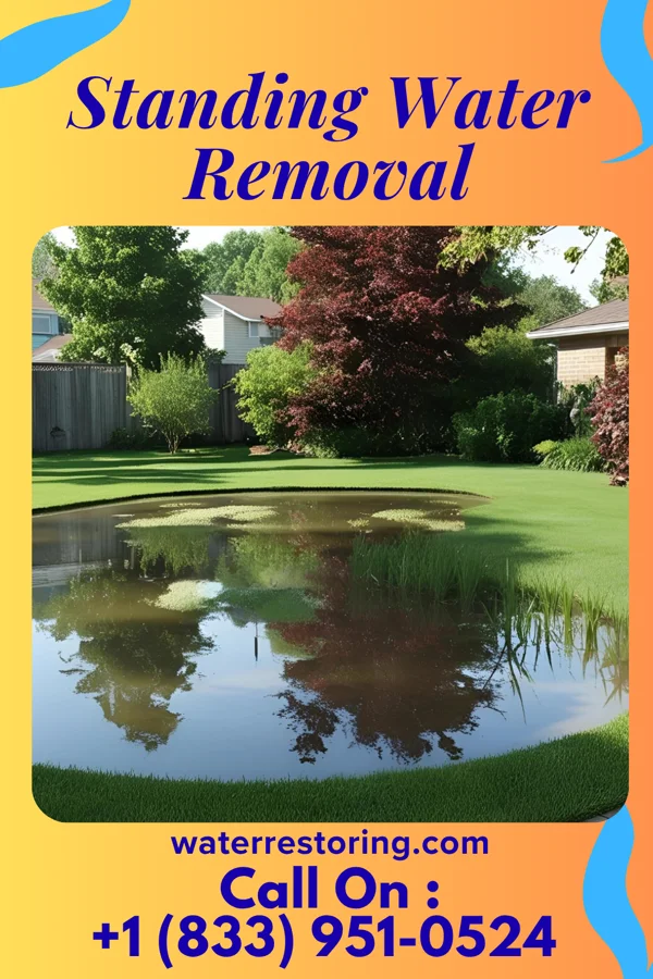 Standing Water Removal in Cannon Falls, MN